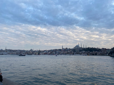 Biscuit Travels - 72 Hours in Istanbul.