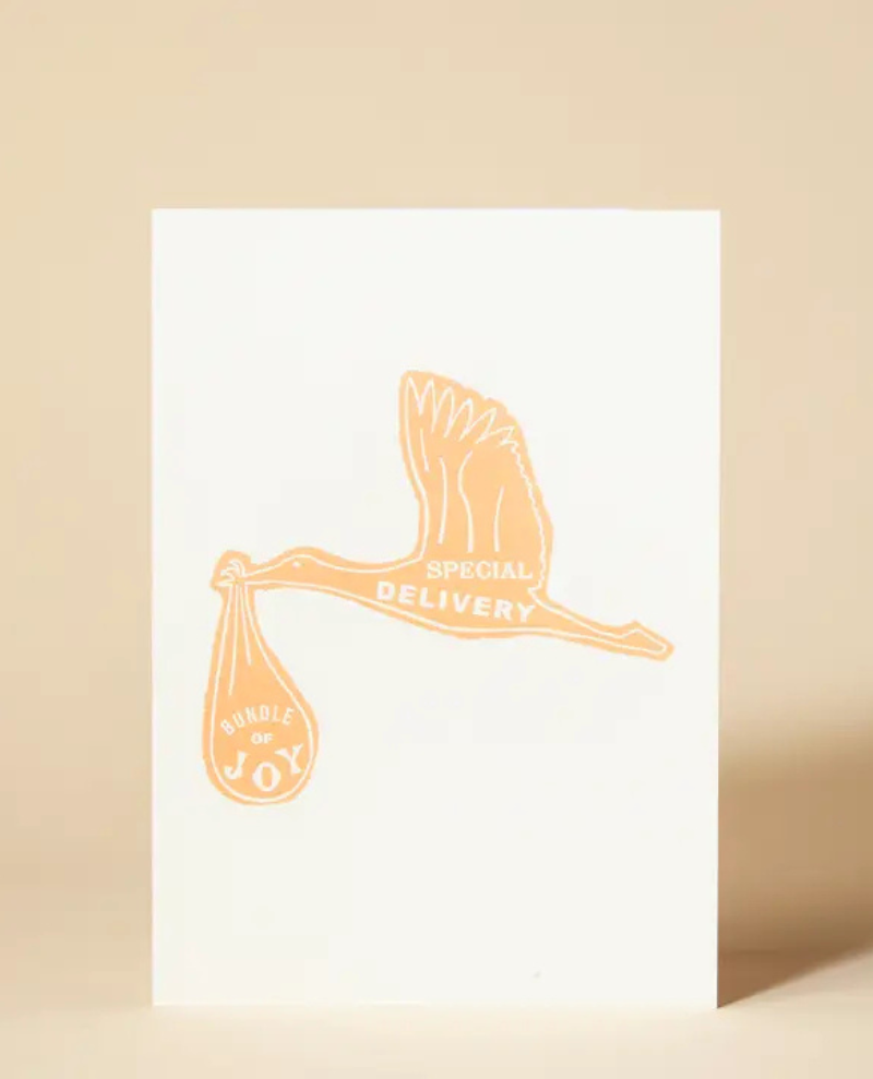 Pressed and Folded Special Delivery Stork Card