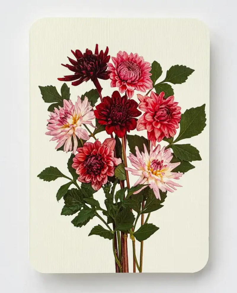 Canonbury Press Garden Dahlias Greeting Card