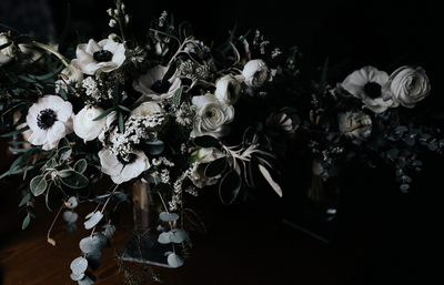Our Favourite Seasonal Flowers to Style this Winter