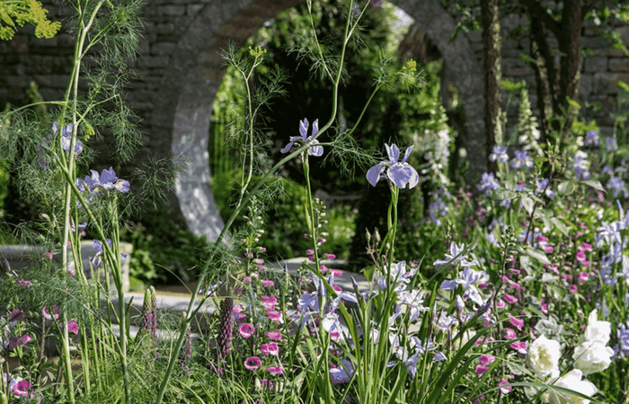 Garden at Chelsea Flowers Show