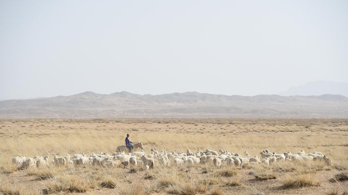 The Feel Good Cashmere