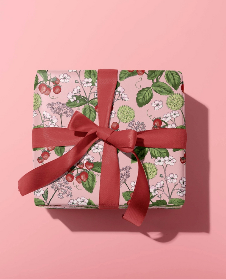 Oh So Daisy Strawberry Blue Gift Wrap