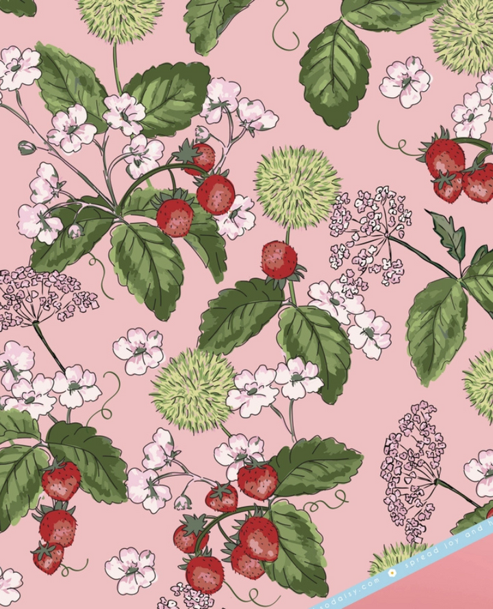 Oh So Daisy Strawberry Blue Gift Wrap