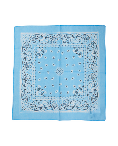 Ichi Samiran Blue Scarf