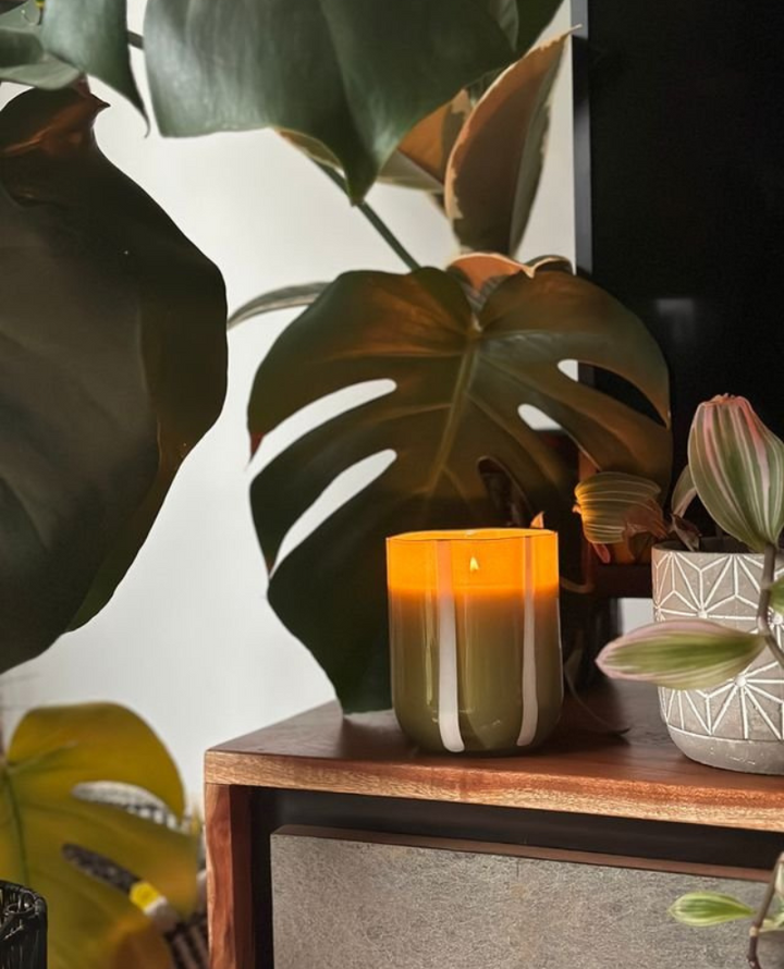 MÆGEN Atina Fresh Olive Lemon Candle