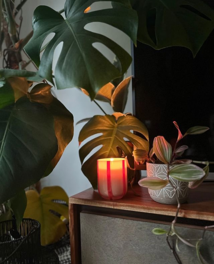 MÆGEN Atina Orange Blossom Basil Candle