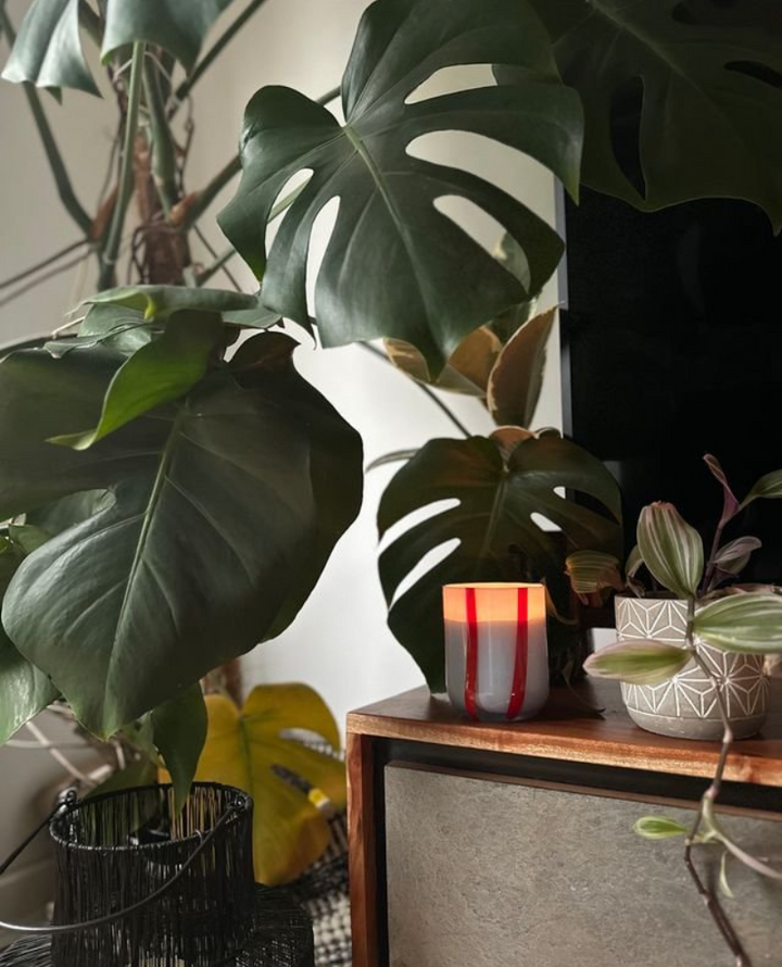 MÆGEN Atina Tomato Mint Leaf Candle