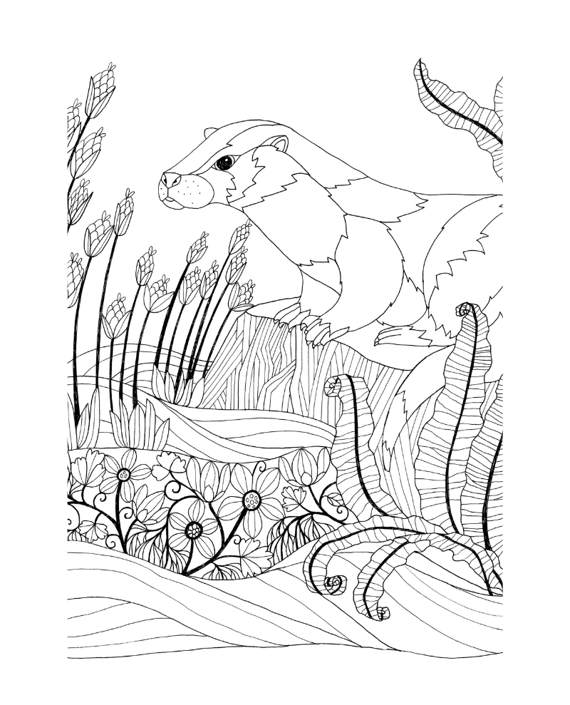 Book -  Scottish Nature Colouring Book