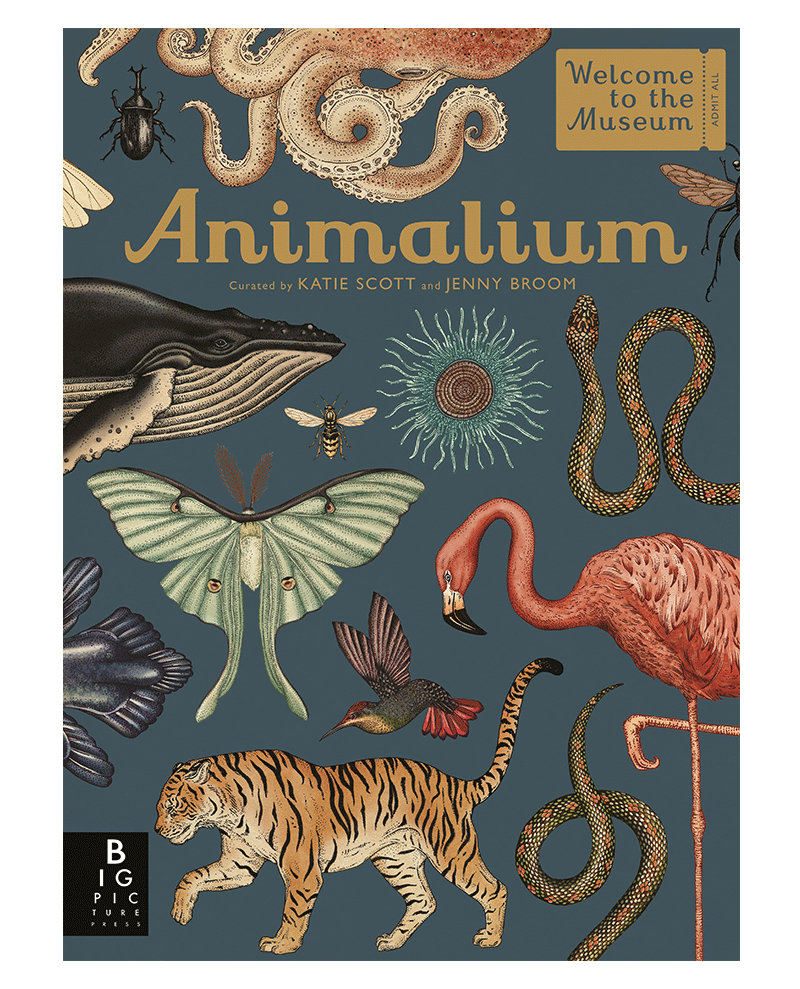 Book - Animalium