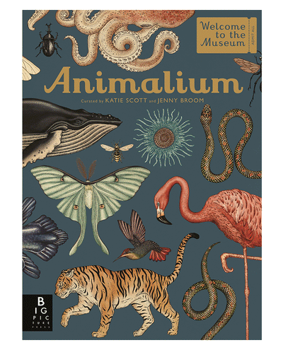 Book - Animalium