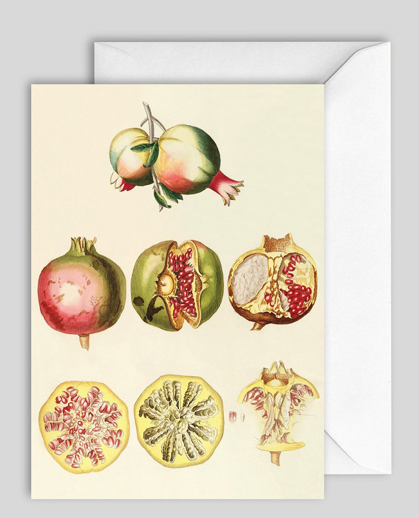 Dybdahl Greeting Card