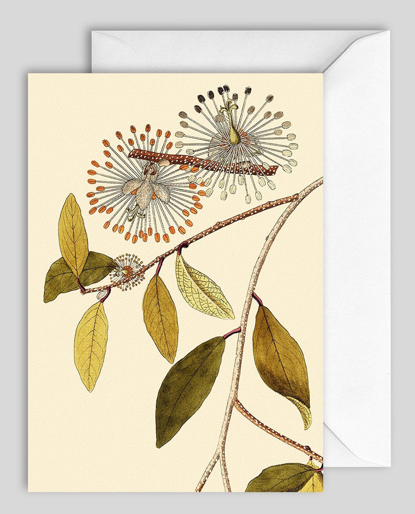 Dybdahl Greeting Card