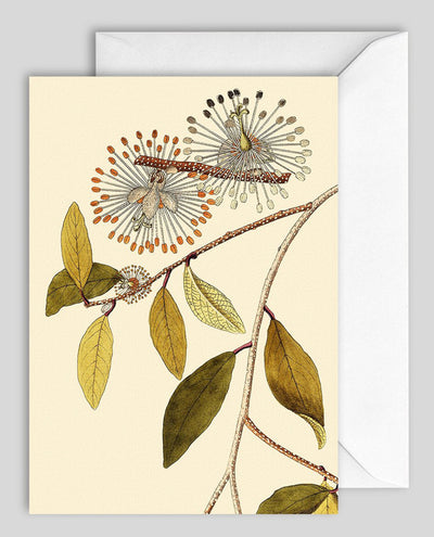 Dybdahl Greeting Card